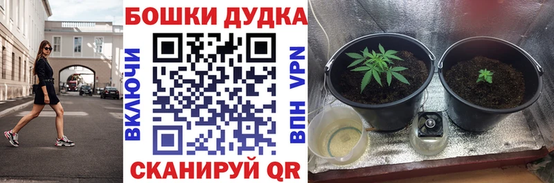 хочу   Гагарин  МАРИХУАНА SATIVA & INDICA 